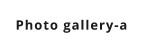 Photo gallery-a