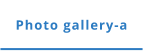Photo gallery-a